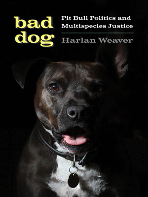 cover image of Bad Dog
